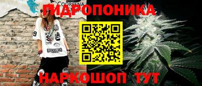 дмт Бузулук