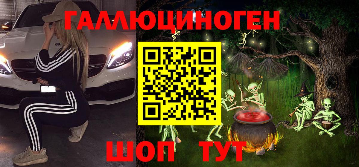 Псилоцибиновые грибы Psilocybe Дятьково