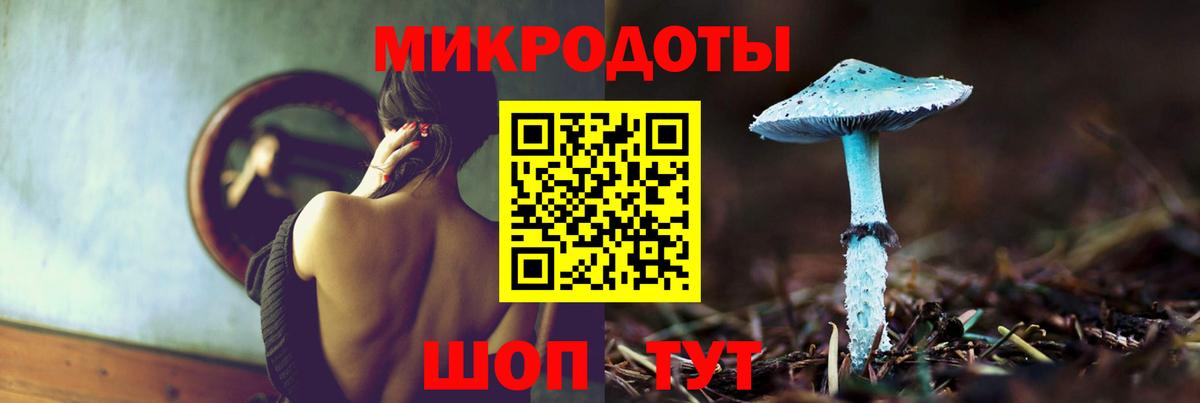 Галлюциногенные грибы Psilocybe  Вход с VPN  Дятьково 